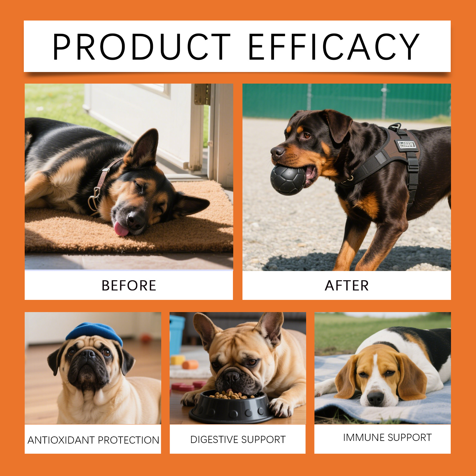 Gocce Erboristiche per Cani -  - Herbal Holistic Wellness recensione e prezzo