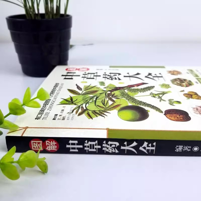 Il Libro dell'Antico Erbario:  - Herbal Holistic Wellness recensione e prezzo