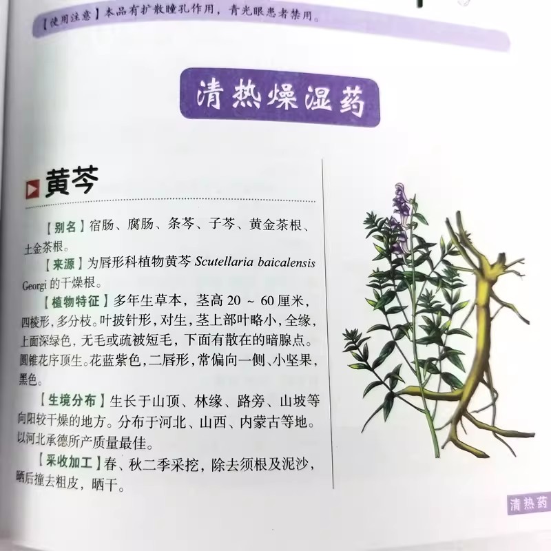 Il Libro dell'Antico Erbario:  - Herbal Holistic Wellness recensione e prezzo