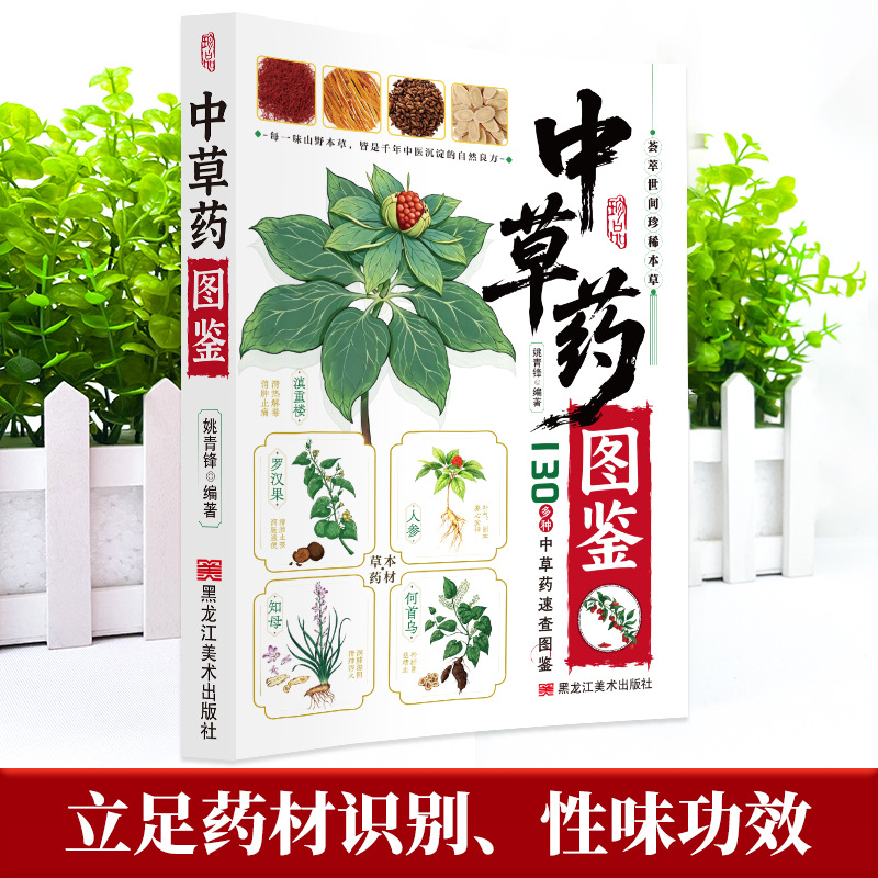 Guida Illustrata alla Medicina - Herbal Holistic Wellness recensione e prezzo