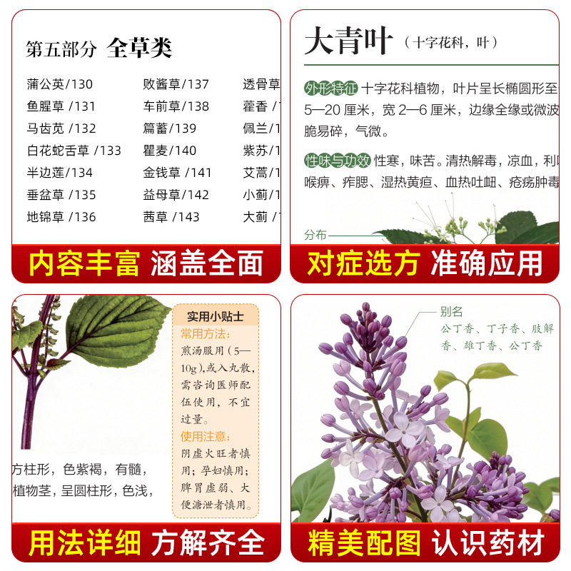 Guida Illustrata alla Medicina - Herbal Holistic Wellness recensione e prezzo